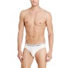 Slip Uomo Ralph Lauren in confezione da 3