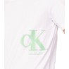 T-shirt Uomo Calvin Klein