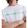T-shirt Uomo Calvin Klein