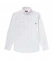 Camicia oxford Uomo MCS