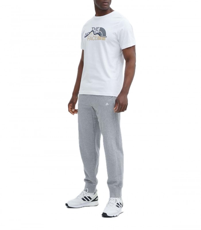 T-shirt Uomo The North Face Mountain line Tee
