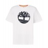 T-shirt Uomo Timberland