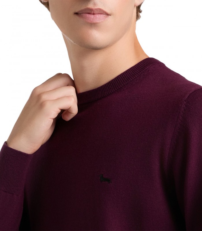 Maglione Uomo Harmont & Blaine extra size