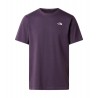 T-shirt Uomo The North Face Simple Dome
