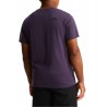 T-shirt Uomo The North Face Evo Box